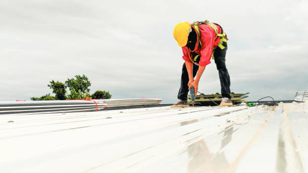 Best Roof Leak Repair  in Leilani Estates, HI