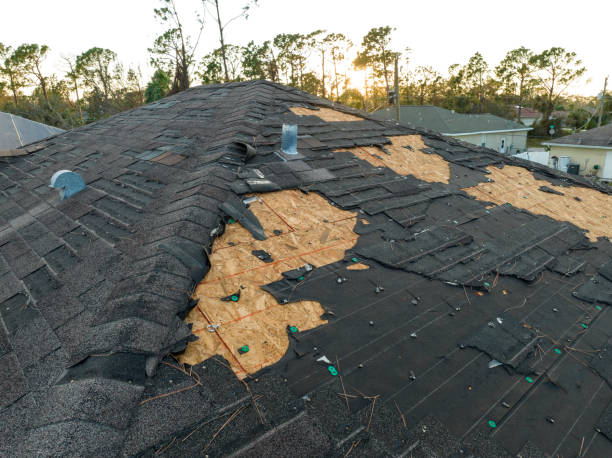 Best Skylight Installation and Repair  in Leilani Estates, HI